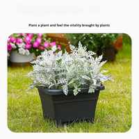 Jardinière carrée minimaliste nordique Lily, pot de fleurs moderne pour intérieur et extérieur, conteneur en plastique robuste pour plantes succulentes, jardinières économiseuses d'eau