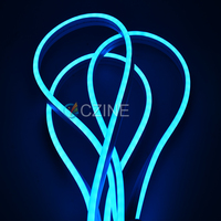 110LED LED Flexible Silicone Neon Strip Lights Avec Accessoires Complets IP67 LED Profil pour Multi-Design