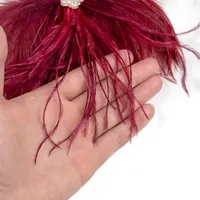 Bros Pin Bulu Burung Unta Merah Anggur untuk Wanita, Pria & Anak Perempuan - Aksesori Elegan untuk Pesta Pernikahan, Tari & Pertunjukan