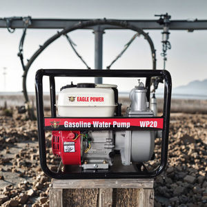 高品质2インチガソリン水ポンプ170Fガソリンエンジンパワー7.5HP水ポンプ - Product Image 1