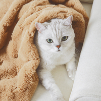 UFBemo Offre Spéciale couverture de luxe en polaire imperméable pour animaux de compagnie, couverture longue en peluche pour chien et chat, lavage en machine
