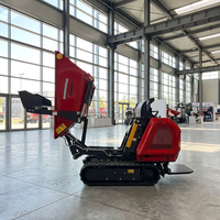 Mini-chargeuse sur chenilles Rhinoceros 800 kg avec moteur Briggs & Stratton, chargeur frontal, haute efficacité, puissance 10 kW, engrenage central pour la construction