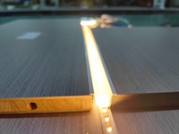 Le diffuseur flexible de silicone de néon de 10*10mm a mené le tube de silicone séparé de la bande menée
