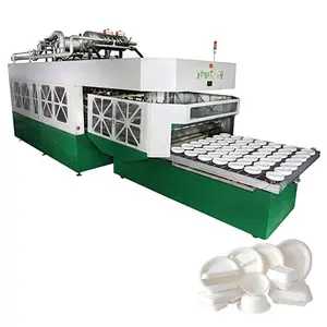 Paper Plate Automatic Machine Price Fully Automatic Biodegradable Pulp Molding Sugarcane Bagasse Disposable Paper Plate Tableware Making Machine