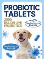Compléments alimentaires probiotiques transfrontaliers pour la santé intestinale, à base de poisson et de lécithine, pour chiens et chats de tous âges, OEM/ODM