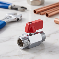 Mini-vannes à boisseau sphérique manuelles en laiton pour le contrôle du gaz, OEM disponible, taille de port 1/4 po