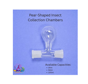 Chambre de collecte d'insectes innovante en forme de poire, conteneur transparent pour l'observation des spécimens, pour la recherche et l'éducation en entomologie - Product Image 2
