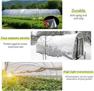 温室塑料布6密耳透明抗紫外线聚乙烯薄膜中国农场农业 - Product Image 3