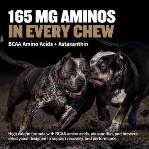 BLUE WHALE Bully <span class=keywords><strong>Max</strong></span> 11-en-1 Friandises à mâcher pour développer les muscles des chiens, riches en protéines et acides aminés, recommandées par les vétérinaires, pour chiots et adultes de toutes races et âges - Product Image 5