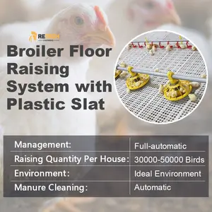 Poultry Equipment Automatic High Quality Automatic Broiler Poultry Farming Equipment