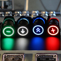 Interrupteur à bouton-poussoir personnalisable en acier inoxydable 22 mm, 12 V/220 V/110 V, lumière LED, 3 A max. Commande de verrouillage momentané IP65 actuelle