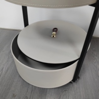 Table basse d'extrémité latérale d'acier inoxydable de cuir de selle