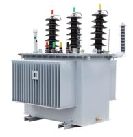 Transformateur électrique triphasé à haute tension immergé dans l'huile de 200 kVA, 315 kVA, 1000 kVA pour poste de transformation industriel