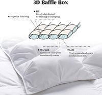 Couette d'hiver surdimensionnée King Size 800 Fill Power, 700 fils, poids lourd, moelleuse, plissée, extra