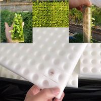 Feuille de panneau de mousse de plateaux de radeau flottant hydroponique pour l'agriculture hydroponique plantation serre culture de légumes
