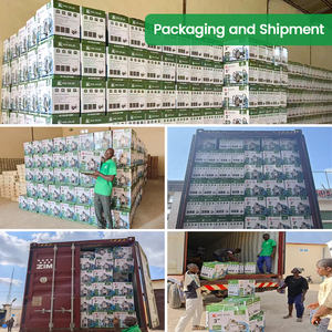 Năng lượng mặt trời Máy bơm nước nhà máy với năng lượng mặt trời bảng điều khiển năng lượng bề mặt hệ thống điện AC DC cho nông nghiệp trang trại thủy lợi nhà pompe Solaire - Product Image 5