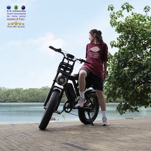 <span class=keywords><strong>E</strong></span> Fatbike Ebike Vélo électrique 250W Otra Bicicleta Adult Electric Dirt Bike Cargo Ebike VOMO X80 Retro <span class=keywords><strong>E</strong></span> BIEK Electr Bike - Product Image 3