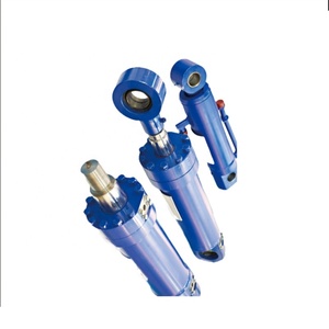 Silinder minyak hidrolik untuk lepas pantai Platform penyelamatan perahu <span class=keywords><strong>Davit</strong></span> untuk harga diskon - Product Image 3