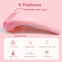 Rouleau de glace pour minimiser les pores et personnalisable avec logo, cube de cryothérapie, rouleau de glace pour le visage