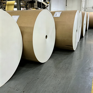 Rouleau de papier enduit PE de qualité alimentaire 150-320 GSM, simple face, anti-fuite, pour la fabrication de gobelets en papier pour boissons chaudes et froides - Prix de gros - Product Image 2