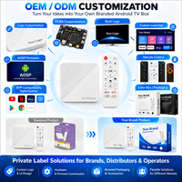 Boîtier TV Android 14 Wifi6 H96 Max H313 AndroidTV Quad Core BT 2.4G 5G Wifi 2Go RAM 8Go 16Go ROM Stockage 4K HD