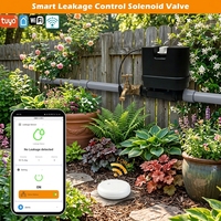 Détecteur d'alarme de fuite d'eau WiFi Tuya LD2602PL-LB avec arrêt automatique, capteur de débit et vanne d'eau étanche Lora