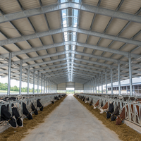 Structure en acier préfabriquée à grande portée pour abri de bétail, avec cadre galvanisé isolé, pour bâtiment d'élevage de vaches en ferme.