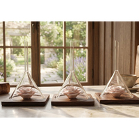 Testeur d'huiles essentielles parfumées, dispositif d'affichage en forme de fleurs avec entonnoir et base en bois pour flacons de parfum