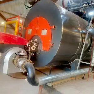 Pièces de chaudière à vapeur Wns-t de 0,3 à 20 tonnes, biomasse, copeaux de bois, granulés, sciure de bois - Product Image 1