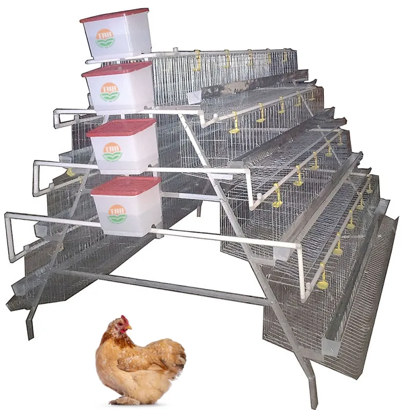 가금류 축산 장비 레이어 또는 육계의 A형 배터리 케이지 닭장 닭장