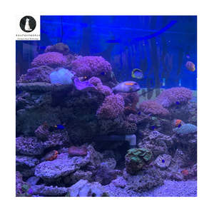 ระบบทำความสะอาดน้ำเชิงพาณิชย์ RAS แบบหมุนเวียนระบบเพาะเลี้ยงสัตว์น้ำอุปกรณ์เพาะเลี้ยงสัตว์น้ำสำหรับบ่อเลี้ยง<span class=keywords><strong>ปลา</strong></span> - Product Image 2