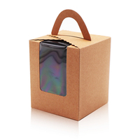 Boîte d'emballage transparente pour bonbons aux pommes, personnalisée