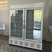Réfrigérateur de présentation florale monotempérature 209L à refroidissement par air, économe en énergie