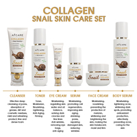 Coffret de Soins Sans Logo, Sans Parabène, Éclaircissant, Nourrissant et Bio à la Vitamine C et à la Bave d'Escargot, Vente en Gros