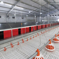 LEON MACHINERY Nid de ponte automatique à bas prix Nids à œufs de poule pour pondeuse ou éleveur Matériel d'élevage de volailles