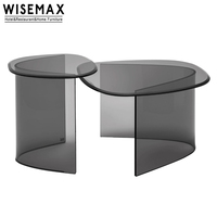 WISEMAX FURNITURE Table basse en verre transparent au design moderne, plateau en verre trempé noir, ensemble de table ronde centrale, meubles d'art pour la maison