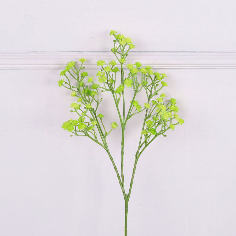 สีเขียว