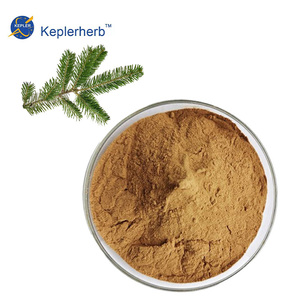 Extractos de Plantas Totalmente Naturales, Extracto de Agujas de Pino en Polvo 10:1, Muestra Gratuita de Extracto de Agujas de Pino para Compradores Mayoristas Globales - Product Image 1