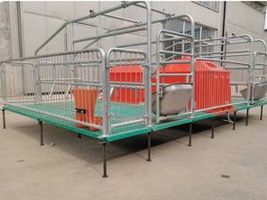 Sows yavrulama kasaları hayvan kafesleri domuz kafesi için yeni çift birim h-tipi domuz yetiştiriciliği ekipmanları - Product Image 2