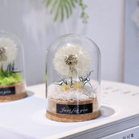 Fleurs de pissenlit naturelles, véritables, éternelles, préservées, faites à la main, modernes, pour la décoration de la maison, avec boîtes cadeaux pour la Saint-Valentin