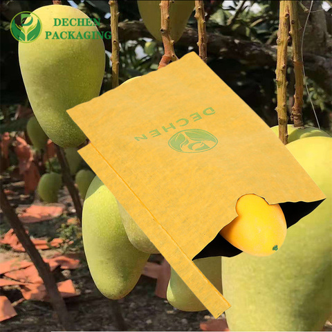 Bags Fruit Bag Mango In Bangladesh Bags Fruit Bag Mango In Bangladesh