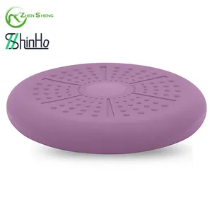 Zhensheng Home Exercise Fitness Balance Disc