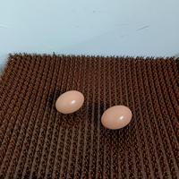 Coussinets de nidification pour poules à six aiguilles pour la ponte des œufs