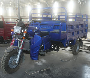 Tricycle à moteur 300cc à carrosserie ouverte, <span class=keywords><strong>moto</strong></span> à trois <span class=keywords><strong>roues</strong></span>, <span class=keywords><strong>moto</strong></span> à essence pour le transport de marchandises - Product Image 6