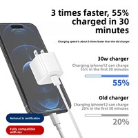 Chargeur rapide GaN Type-C 30W compatible avec les chargeurs et tous les modèles pour le commerce électronique transfrontalier
