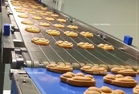 Cubo de oblea suave automático de acero inoxidable 304 personalizado, máquina para hacer galletas y gofres, nuevo proveedor, línea de producción de obleas rellenas