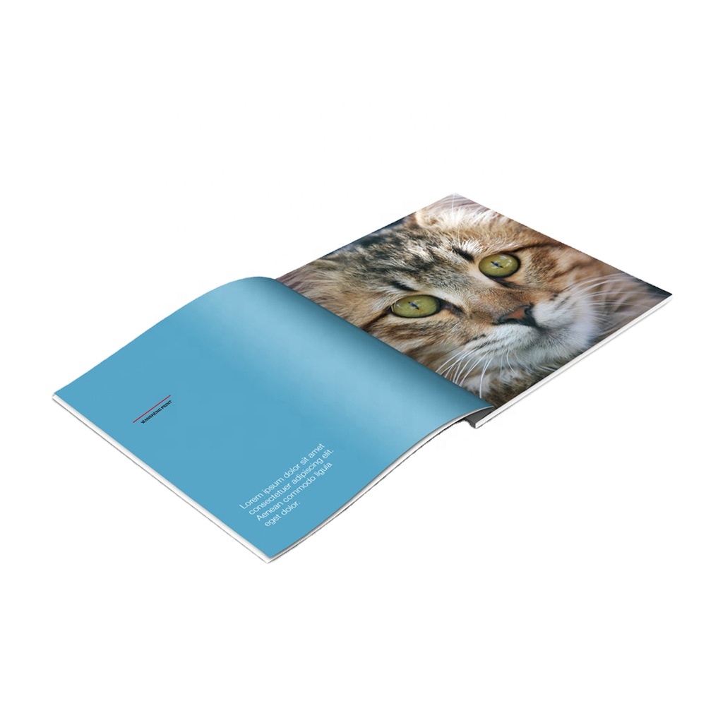 Customized Printing Company Product Manual Bronzing Logo Brochures Magazine Catalogues
