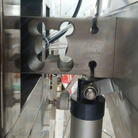 NEWEEK Station simple ou double 10-50kg Maïs Épis Acétylène Pierre Pommes de terre Charbon de bois Emballage Machine de pesage et d'emballage