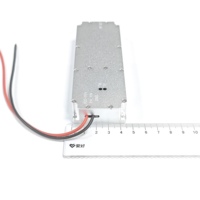 Amplificateur de puissance GaN personnalisable 50W 700-1000MHz, module Lora, module anti-drone, VCO intégré