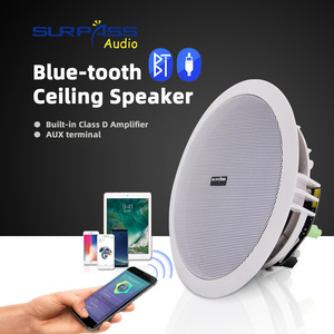 Altavoces de techo activos de alta fidelidad BT510 Bluetooth Amplificador de clase D incorporado Altavoz de pared BT de rango completo para audio de sistema de alimentación de 10W - Product Image 6